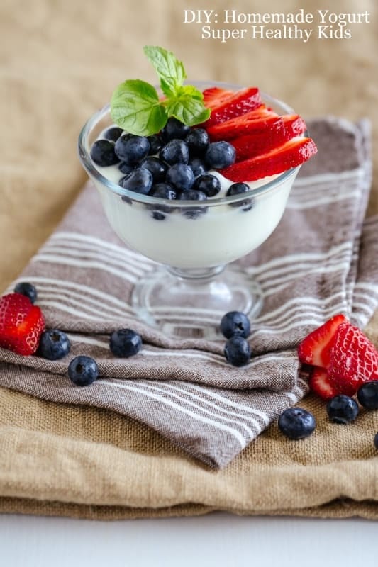 Diy Homemade Yogurt Recipe Super Healthy Kids