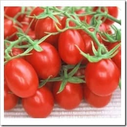 lycopene