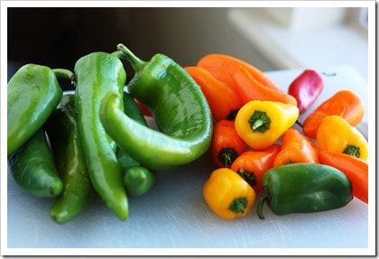 How to Freeze Peppers. Did you know you can freeze whole peppers and then use them later for stuffed peppers?