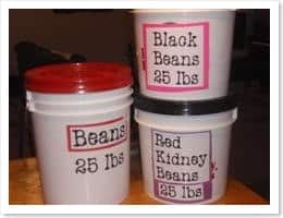 Beans 101 - SHK