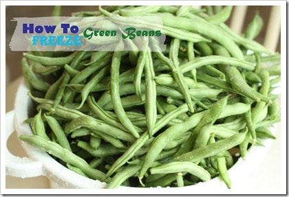 Freezing Green Beans. You probably don't know this about green beans...